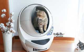 12 Крутых способов спрятать кошачий туалет
