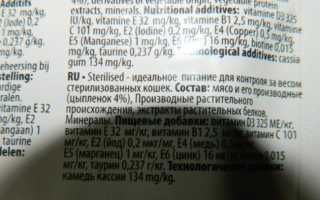 Almo Nature для кошек — полный обзор корма, отзывы покупателей