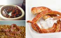 Маисовый полоз: содержание и уход в домашних условиях,фото